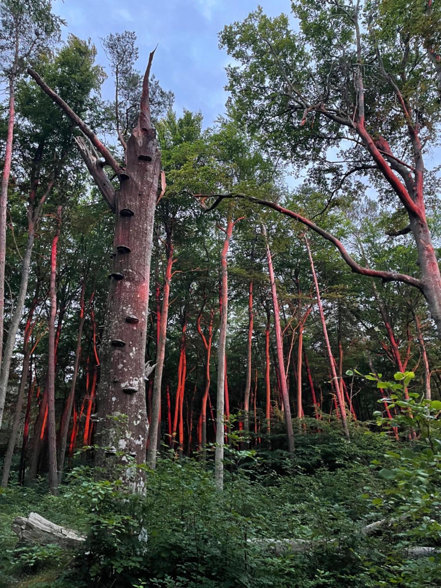 Apartamenty Na Skarpie Debina  Luaran gambar
